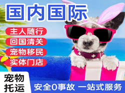 赛乌素机场邮寄国际宠物托运 【国